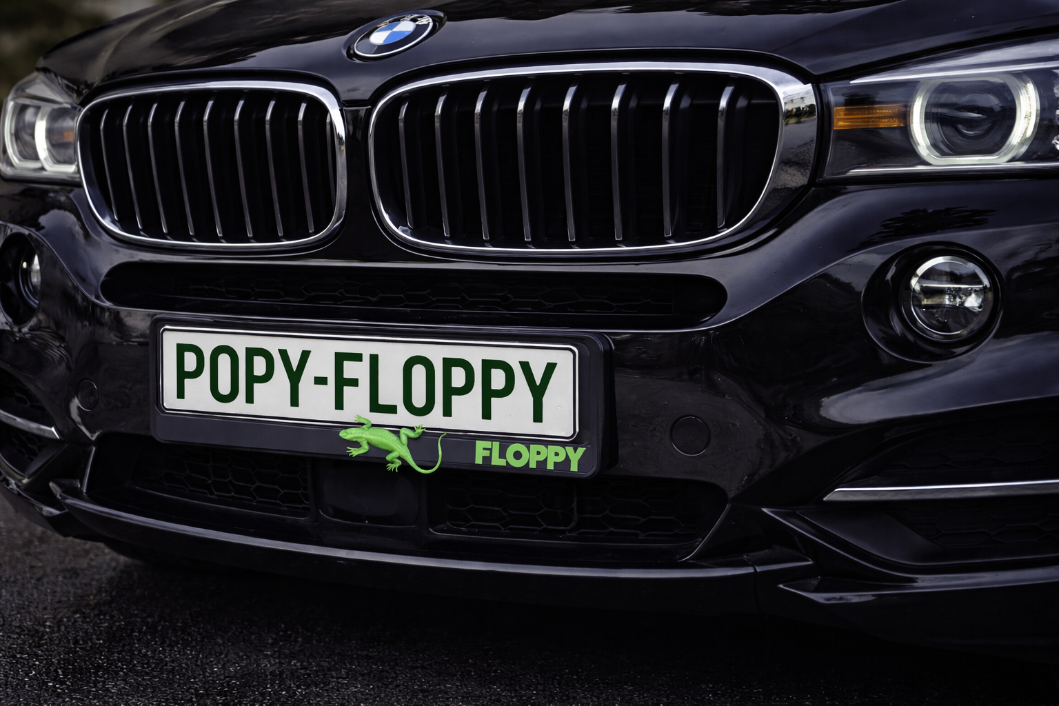 Lizard underlay — fitted on BMW front plate